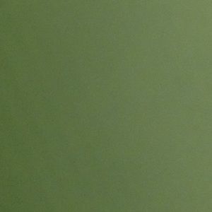 Meet your Posher, Zach